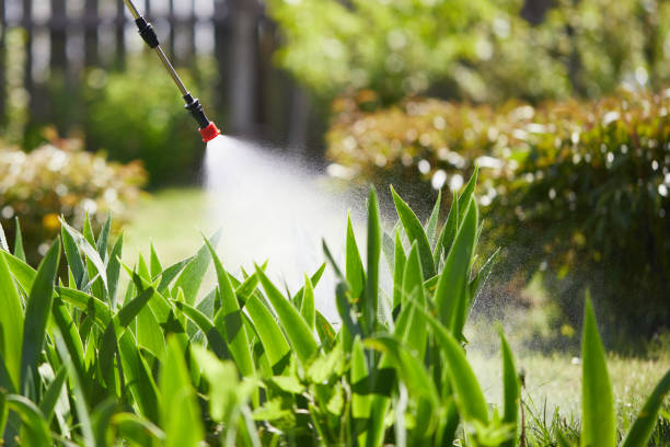 24/7 Emergency Mosquito Control experts in Bellwood, IL